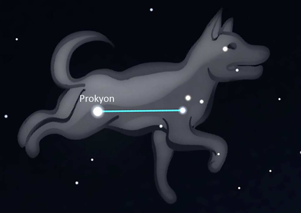 Canis Minor