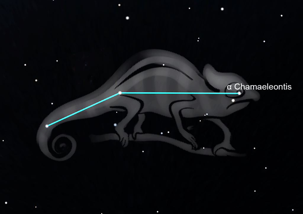 Chamaeleon