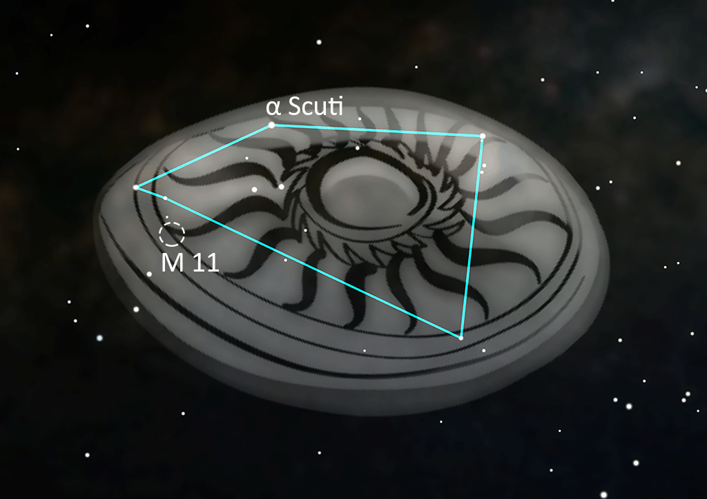 Scutum