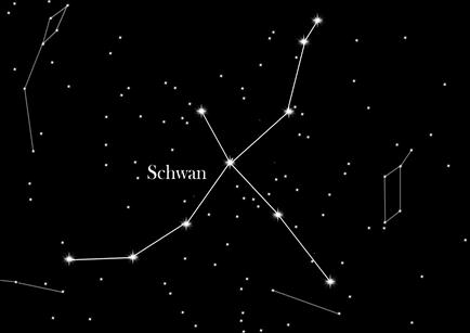 Sternbild Schwan