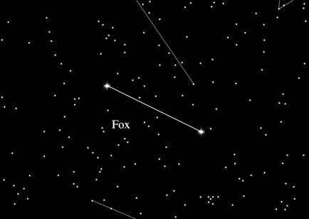 Star Sign Fox